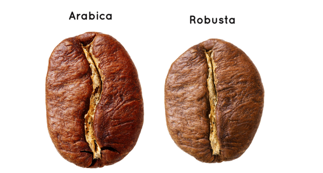Arabica_Robusta_Nesbru_Blog_650x_350