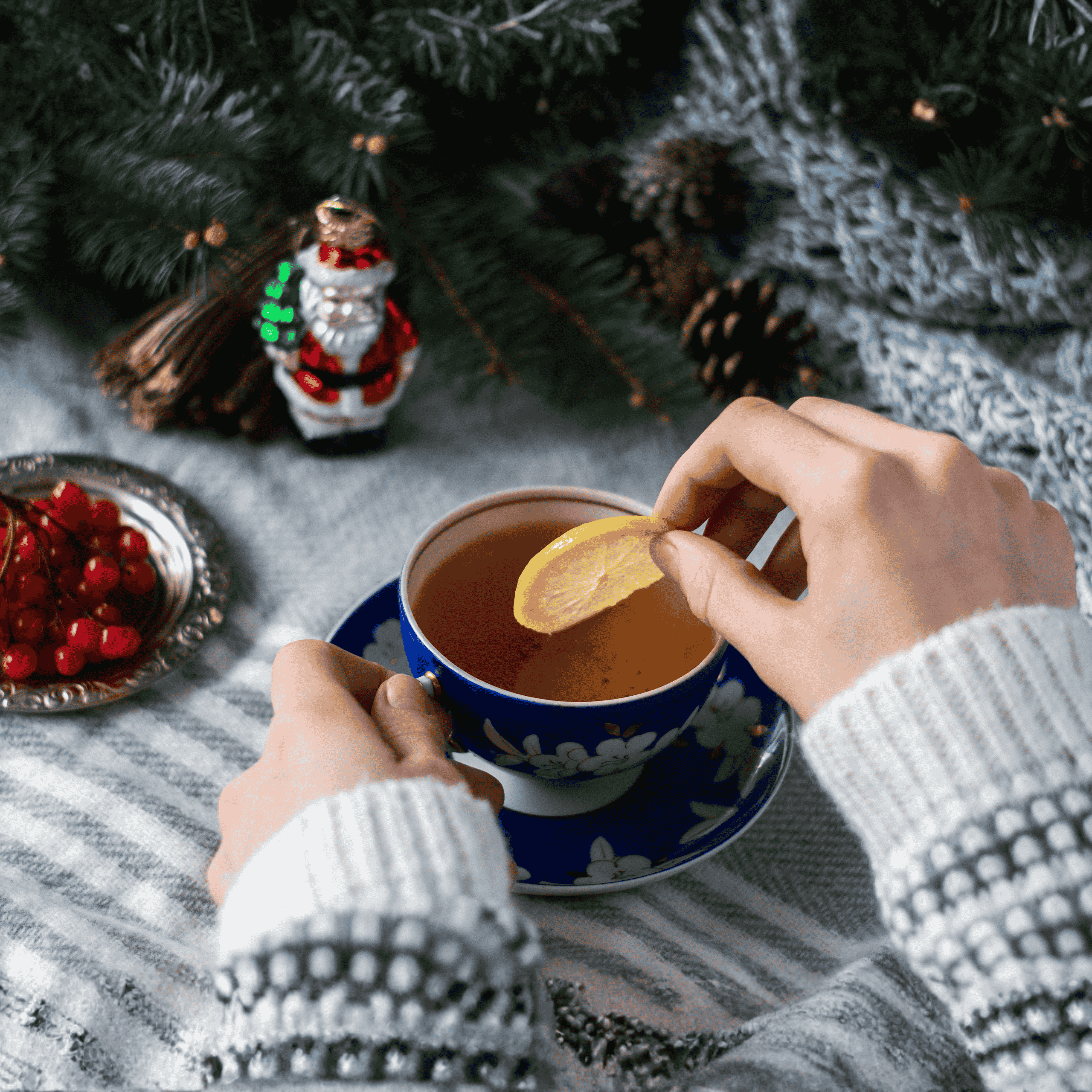 Herbata_zimowa_z_cytryna_Nesbru