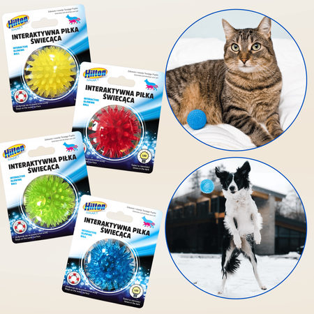 Zabawka dla psa kota interaktywna piłka świecąca Hilton Smart 5cm