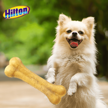 Przysmak dla psa kość prasowana naturalny gryzak ze skóry Hilton 21cm
