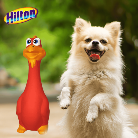 Zabawka lateksowa gryzak dla psa kurczak piszczący Hilton 19,5cm