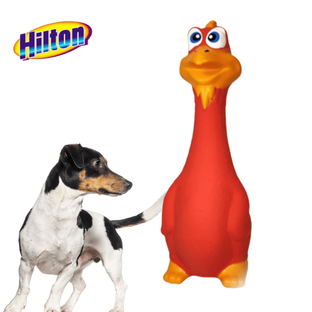 Zabawka lateksowa gryzak dla psa kurczak piszczący Hilton 19,5cm