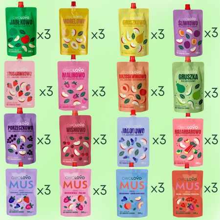 Mus deserek Mix musów OWOLOVO 16 smaków dla dzieci i dorosłych 48 x 200g