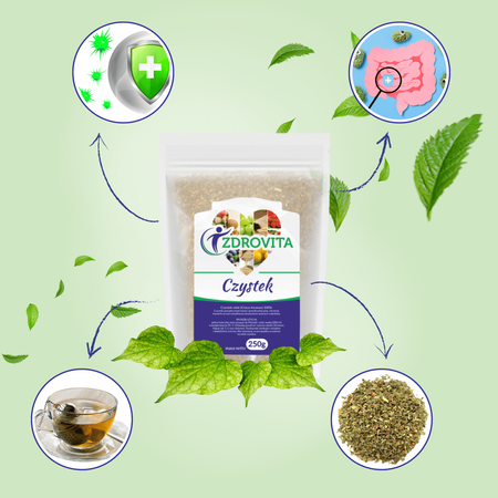 Czystek Ziele naturalny odporność detox Zdrovita 250g