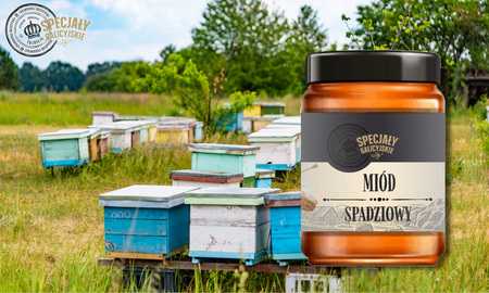 Miód Spadziowy naturalny premium polskie pasieki Specjały Galicyjskie 400g
