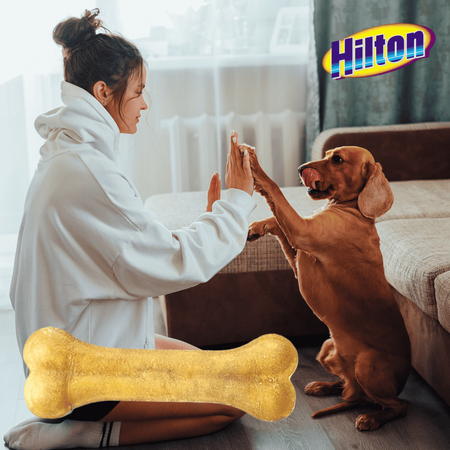 Przysmak dla psa kość prasowana naturalny gryzak ze skóry Hilton 21cm