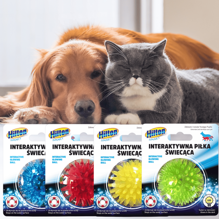 Zabawka dla psa kota interaktywna piłka świecąca Hilton Smart 5cm